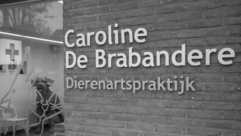 Lees meer over het artikel COVID-19: Tijdelijke maatregelen in de praktijk