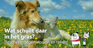 Post Vlooien
